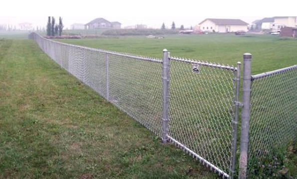 Which fence should I buy, galvanized or PVC coated chain-link fencing?