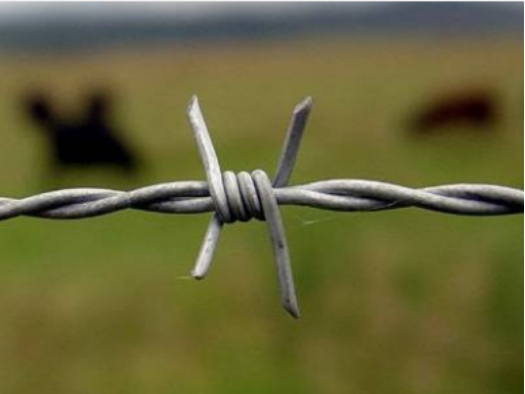 Classification of barbed wire