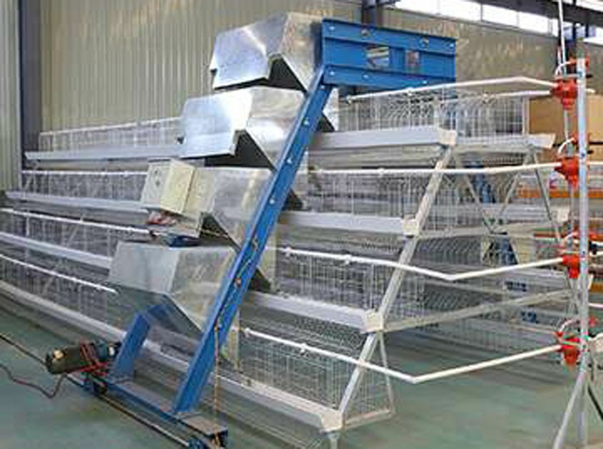 Broiler Cages