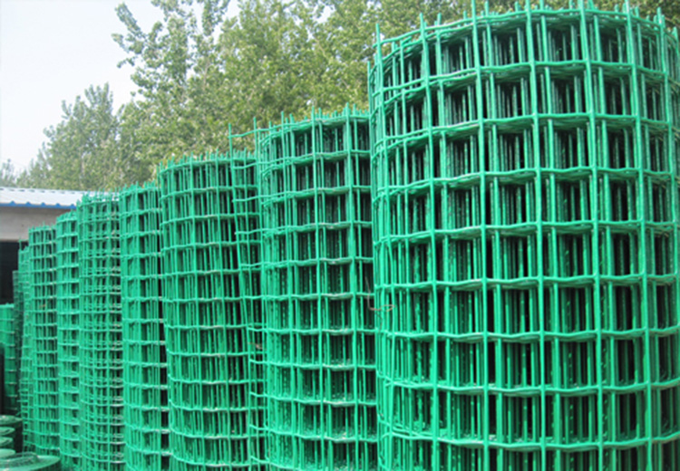 Do you know Holland wire mesh？