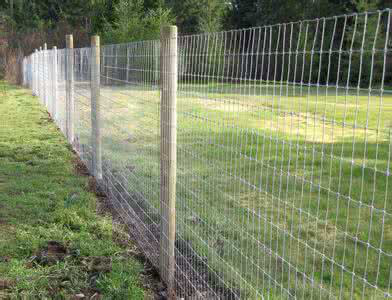 How to order cow fence