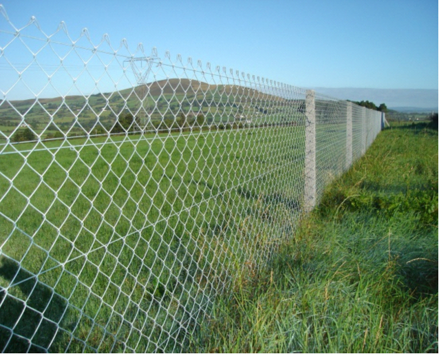 crimped wire mesh 