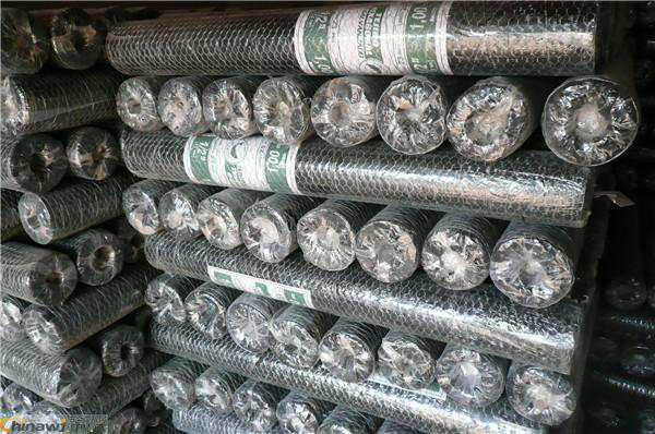 Type of hexagonal wire mesh