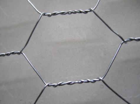 China famous hexagonal wire mesh manufacturers