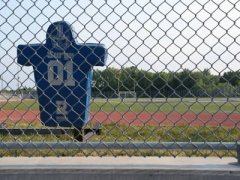 Stadium fence is the structure