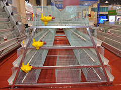 Chicken house cage disinfection steps