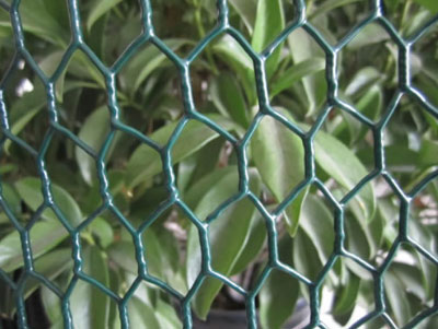 PVC coated hexagonal wire netting