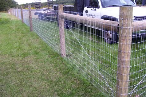 What is the best fence for cattle?