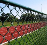 PVC chain link fence-from Hebei Qunkun