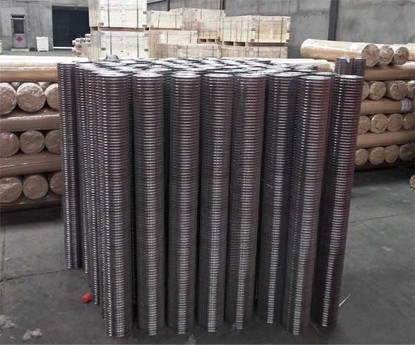 Hot-selling galvanized welded wire mesh