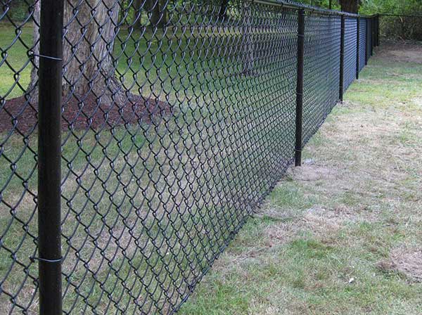 Install chain link fence in the zoo