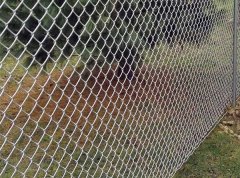 Primary design for chain link fence