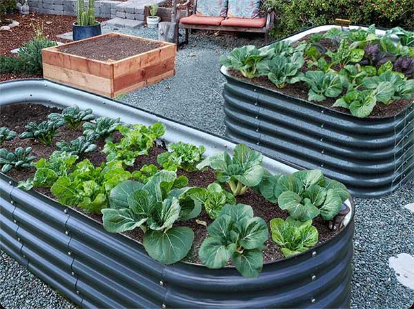 Beautiful raised garden bed / Metal bed for garden