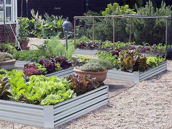 Beautiful raised garden bed / Metal bed for garden