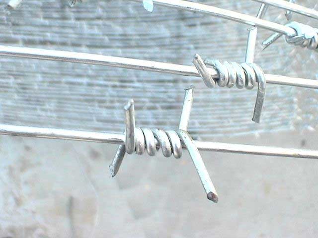 The sharp galvanized barbed wire