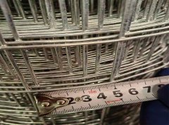 Holland Wire Mesh vs Common Wire Mesh - Comparison and Application