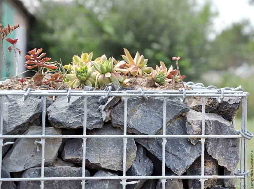 Welded Gabions: Reinventing Landscape Architecture and Erosion Control