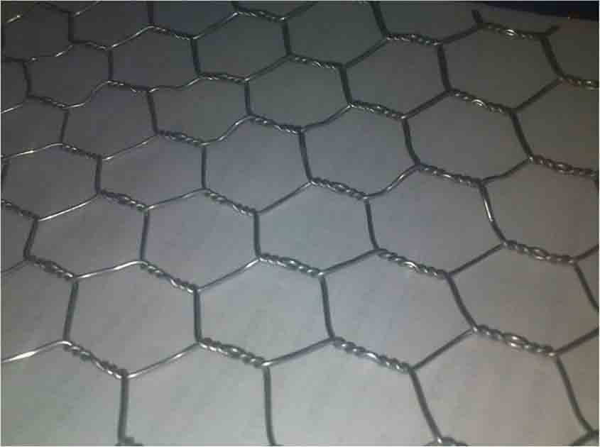 The Versatility of Wire Mesh: Unleashing the Potential of Chicken Wire Mesh in Various Applications