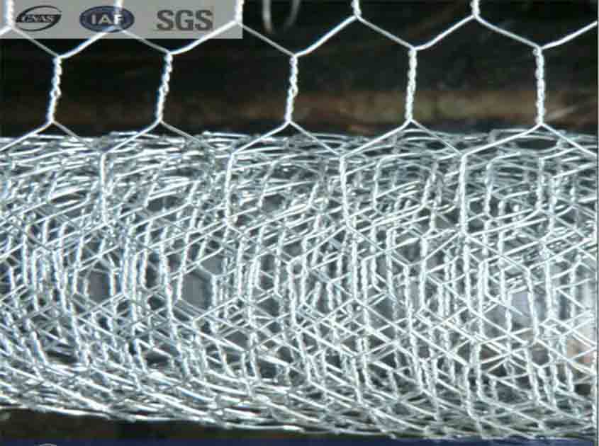 The Versatility of Wire Mesh: Unleashing the Potential of Chicken Wire Mesh in Various Applications