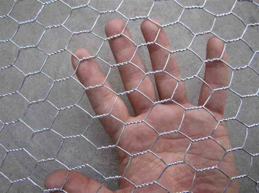 Chicken Wire Mesh in Aquaculture: Enhancing Fish Farms' Security and Production Efficiency