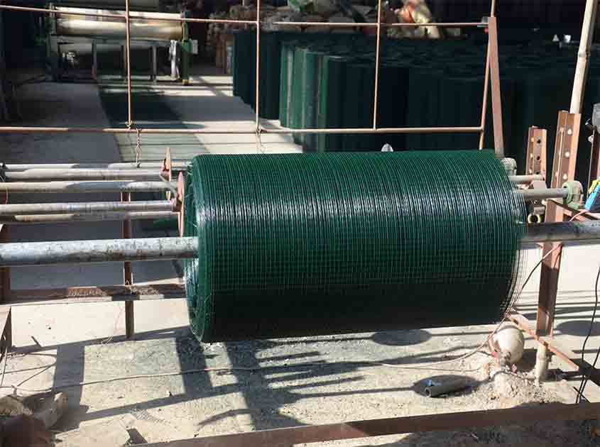 The Role of Welded Wire Mesh Rolls in Equestrian Fencing and Enclosures