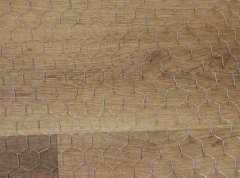 Chicken Wire Mesh Sizes of A Guide to Optimal Applications