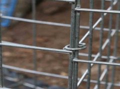 What are the advantages of using galvanized wire mesh in outdoor applications