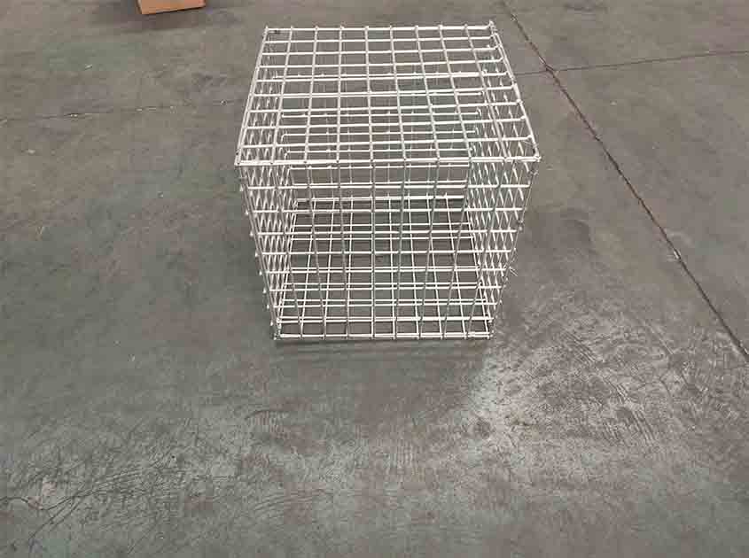 How does galvanized wire mesh compare to stainless steel wire mesh in terms of corrosion resistance?