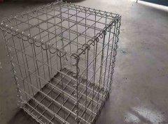 Galvanized Wire Mesh: A Reliable Defense Against Small Animals and Rodents