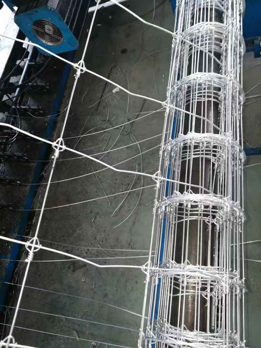 Innovative Applications of Wire Mesh Products by China Manufacturers