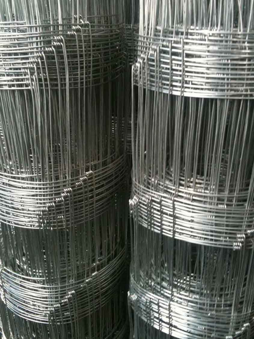 Market Trends: Insights into the Growth of China Wire Mesh Manufacturers