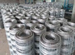 Market Trends: Insights into the Growth of China Wire Mesh Manufacturers