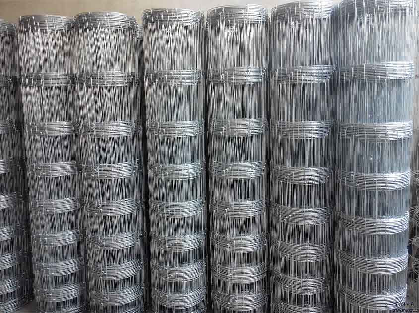 Exploring the Range of Wire Mesh Materials Offered by China Manufacturers