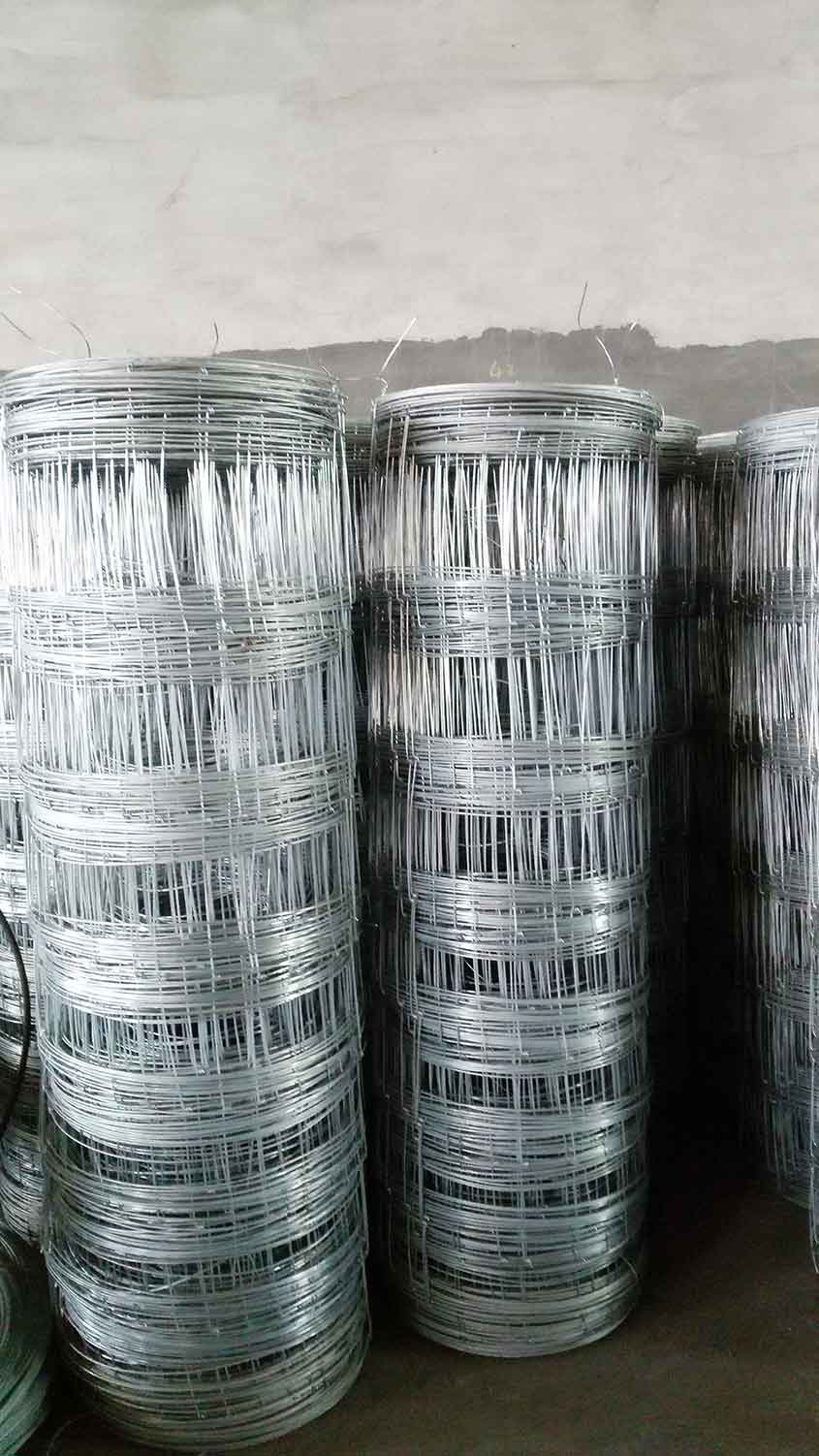 Supply Chain Resilience: The Importance of China Wire Mesh Manufacturers