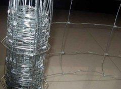 The Role of China Wire Mesh Manufacturers in Urban Development