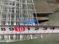 The Ultimate Guide to Galvanized Wire Mesh: A Strong Shield for Your Projects