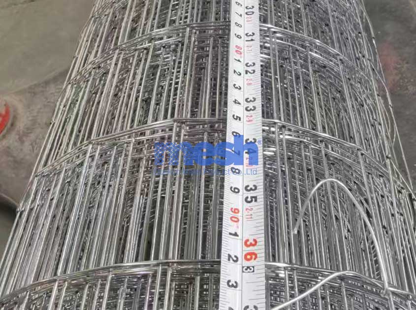 The Ultimate Guide to Galvanized Wire Mesh: A Strong Shield for Your Projects