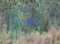 Galvanized Wire Mesh: The Art of Balance between Security and Visibility