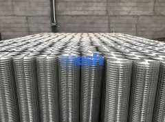 Galvanized Wire Mesh vs. Regular Wire Mesh: Advantages and Differences