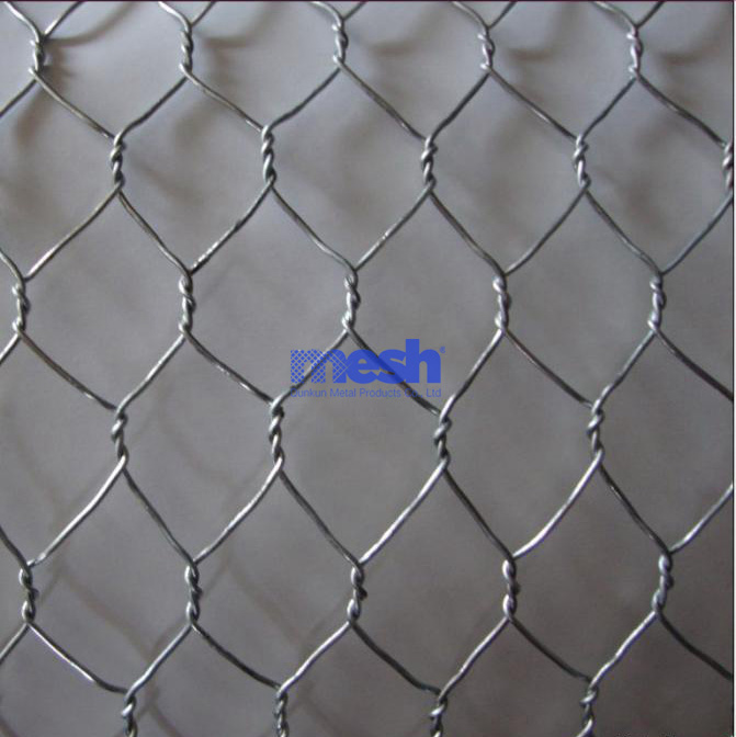 Chicken Wire Mesh for Vertical Planting Walls: Ideal for Space Savings