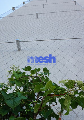 The beauty and practicality of Wire Rope Mesh in architectural design