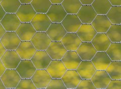 Galvanized Wire Mesh: The Perfect Combination of Durability and Versatility