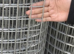 Galvanized wire mesh: guarding 