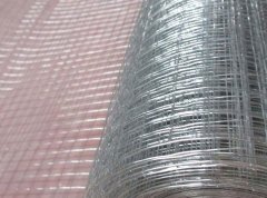 The Ultimate Guide to Welded Wire Mesh Rolls: A Versatile and Durable Solution